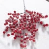 Raz 27.5" Snowy Red Berry Christmas Tree Spray F4306669