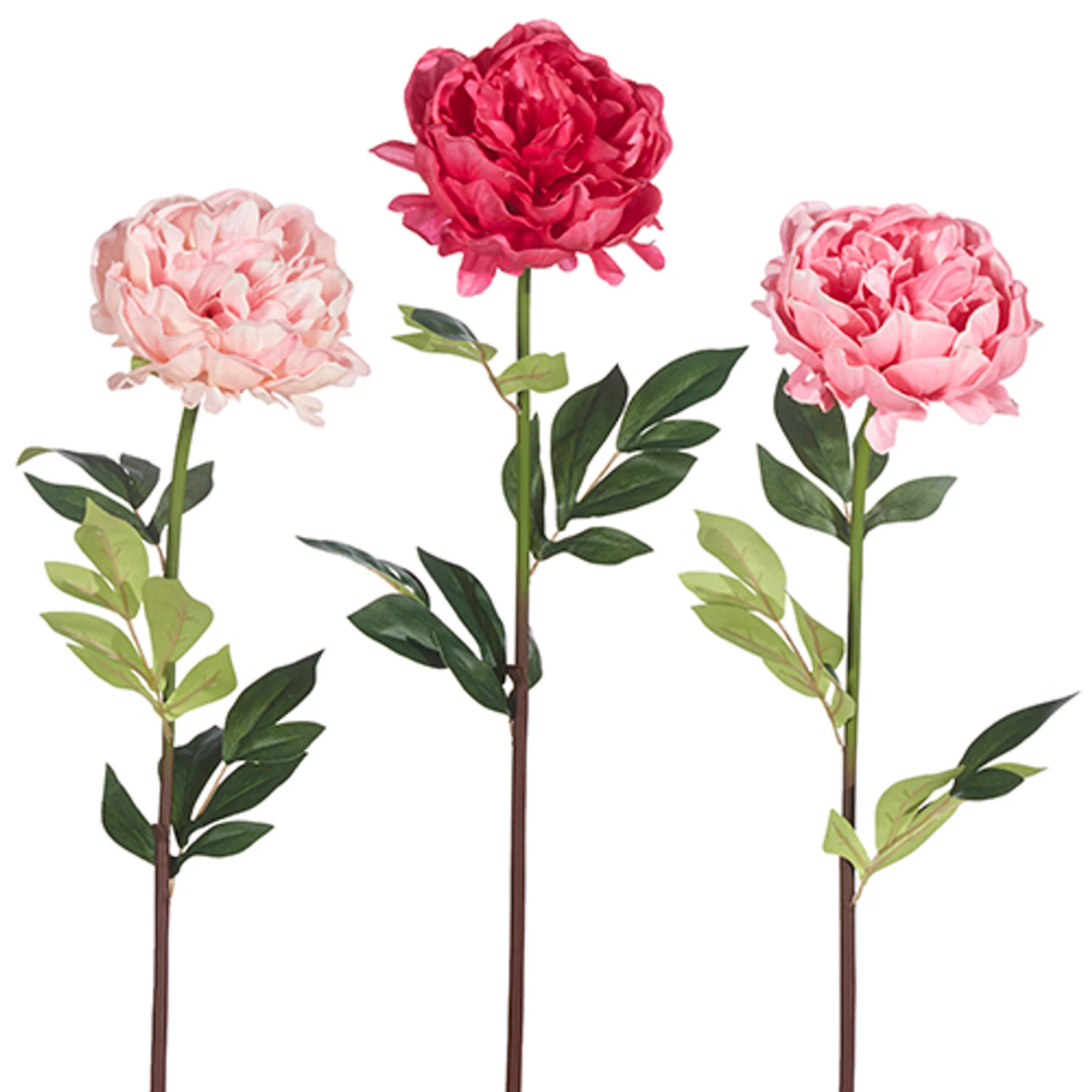 Raz 25" Real Touch Peony Stem Christmas Pick XF4002107 2 Raz 25" Real Touch Peony Stem Christmas Pick XF4002107 - Image 2