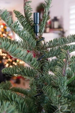 Village Lighting Universal Christmas Tree Topper Holder V-11103 9 Village Lighting Universal Christmas Tree Topper Holder V-11103 -Best Christmas Shop apiylnmow 47410.1646091960